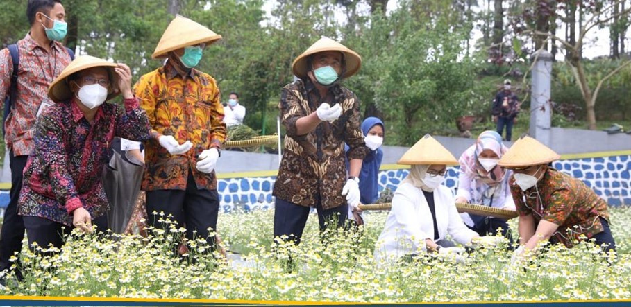 Fokus Pengembangan Obat dari Bahan Alam Indonesia Fokus Pengembangan Obat dari Bahan Alam Indonesia